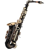 61Gx+zzrSrL._AC_UL210_SR210,